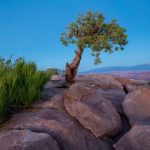 Embracing the Great Outdoors: A Journey to Self-Discovery