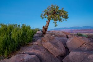 Embracing the Great Outdoors: A Journey to Self-Discovery