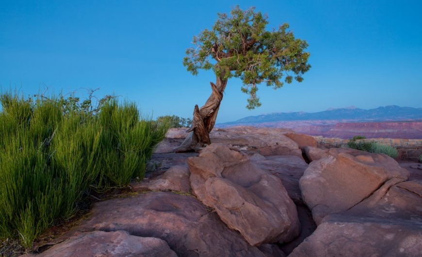 Embracing the Great Outdoors: A Journey to Self-Discovery